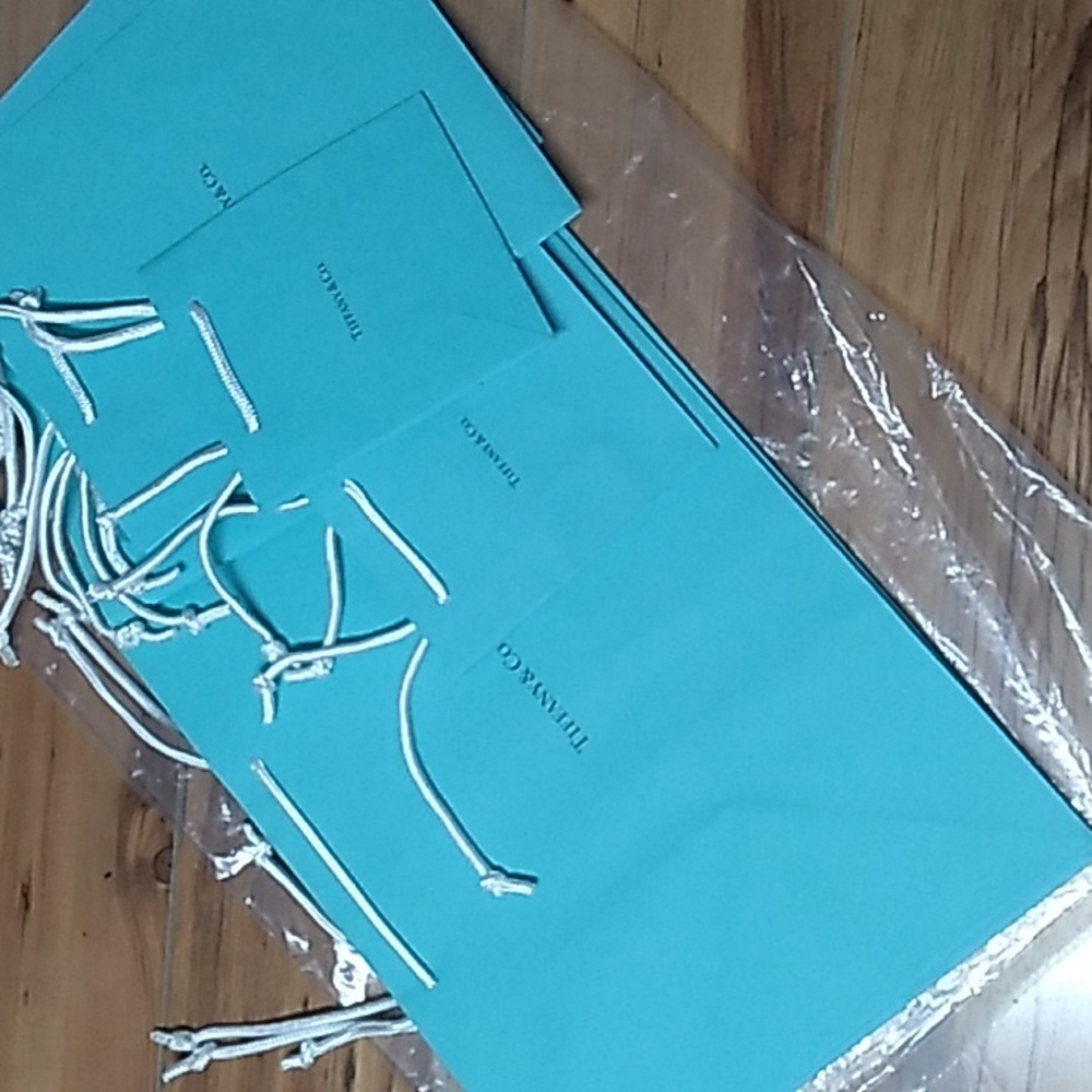 Lot of 9 Tiffany & Co. Teal Gift Bags with White Handles